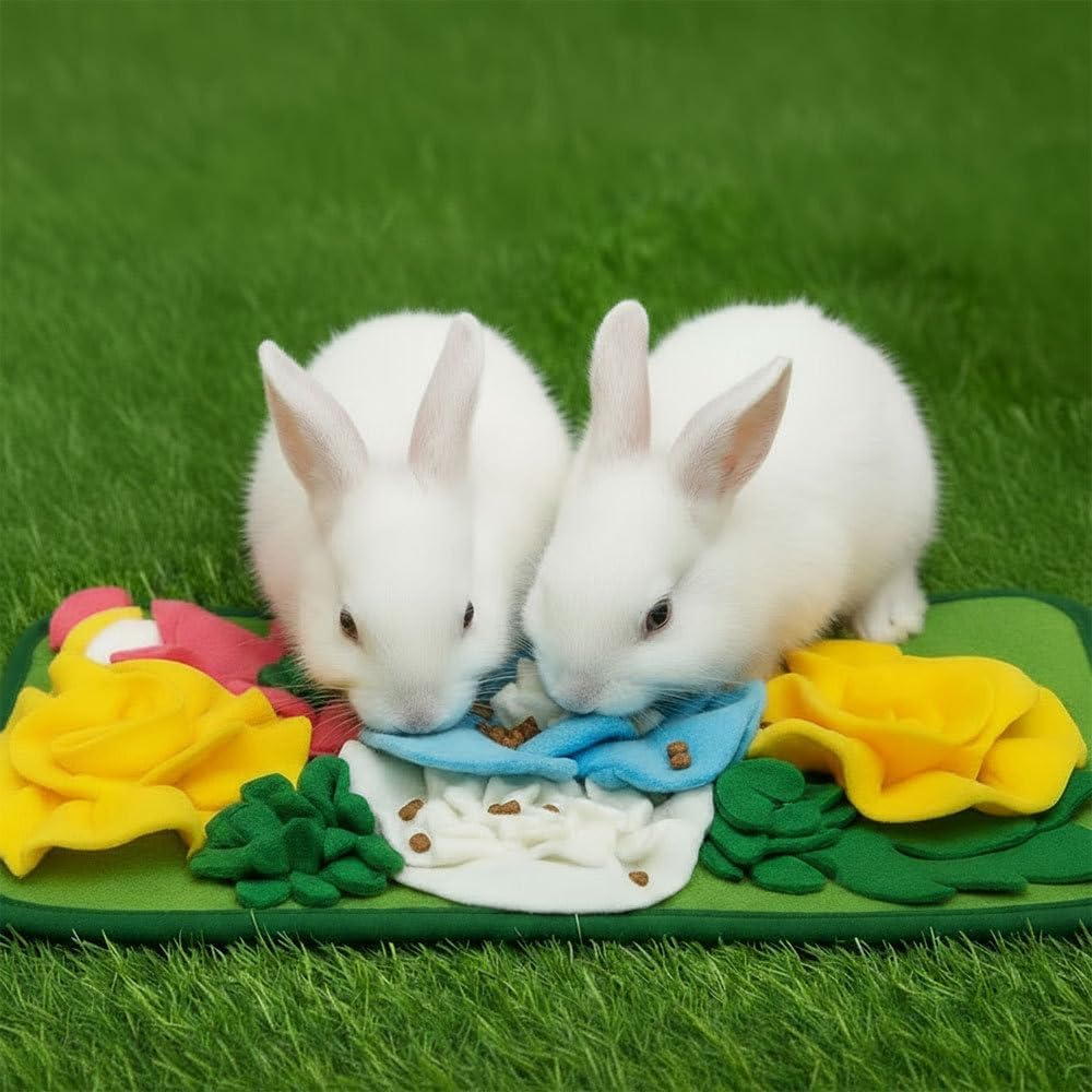 Futtermatte für Kaninchen, Hasen Schnüffelteppich, Schnüffelmatte Kleintiere mit Hängendem Seil für