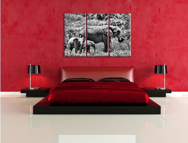 Pixxprint friedliche Elefantenfamilie als Leinwandbild/Grösse: 3 Teilig (120x80) cm/Wandbild/Kunstdr