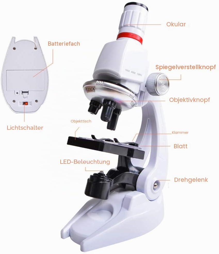 ALEENFOON Kinder Mikroskop,100x 400x 1200x Vergrösserung Wissenschaft Kinder Mikroskop Kit mit LED B