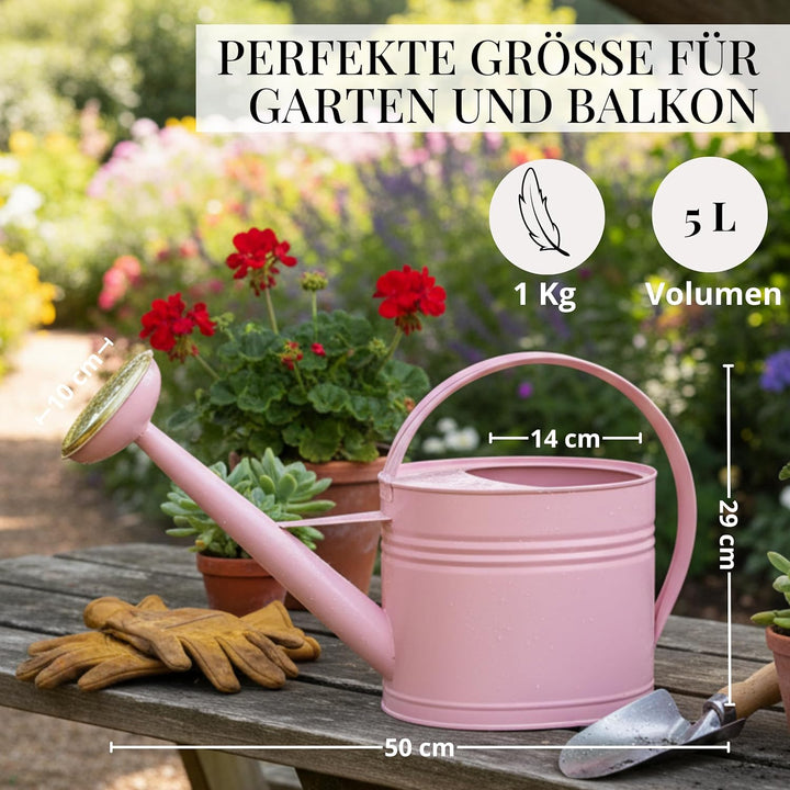 LIVLIG Giesskanne 5 Liter, Blumengiesskanne für Garten & Balkon, Hochwertige Metallgiesskanne 5L aus