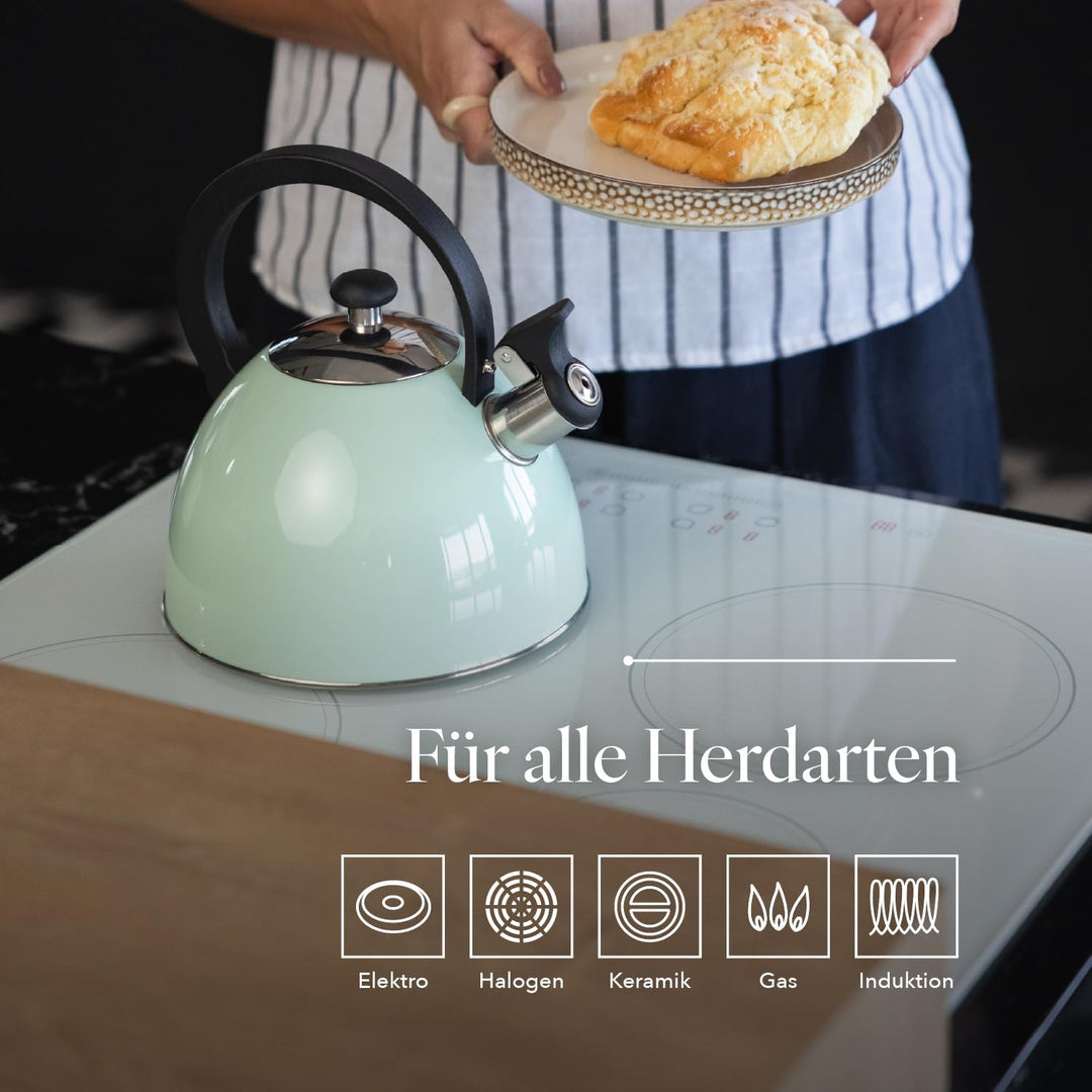 FLORINA Wasserkessel (2 l) I Edelstahl Teekessel BRILLO I Flötenkessel mit Bakelitgriff I Kratzfeste