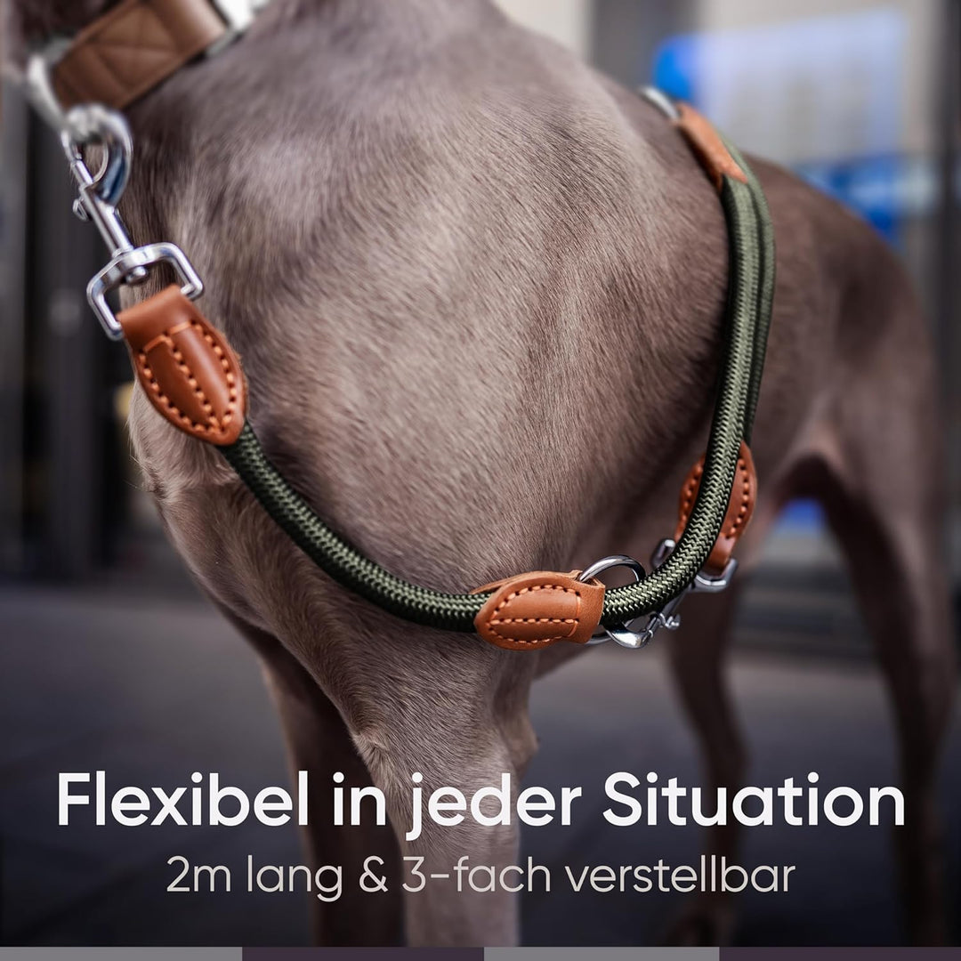 FREUDENTIER® Hundeleine 2m für mittelgrosse & grosse Hunde – 3-Fach verstellbar - Robustes Nylon abg
