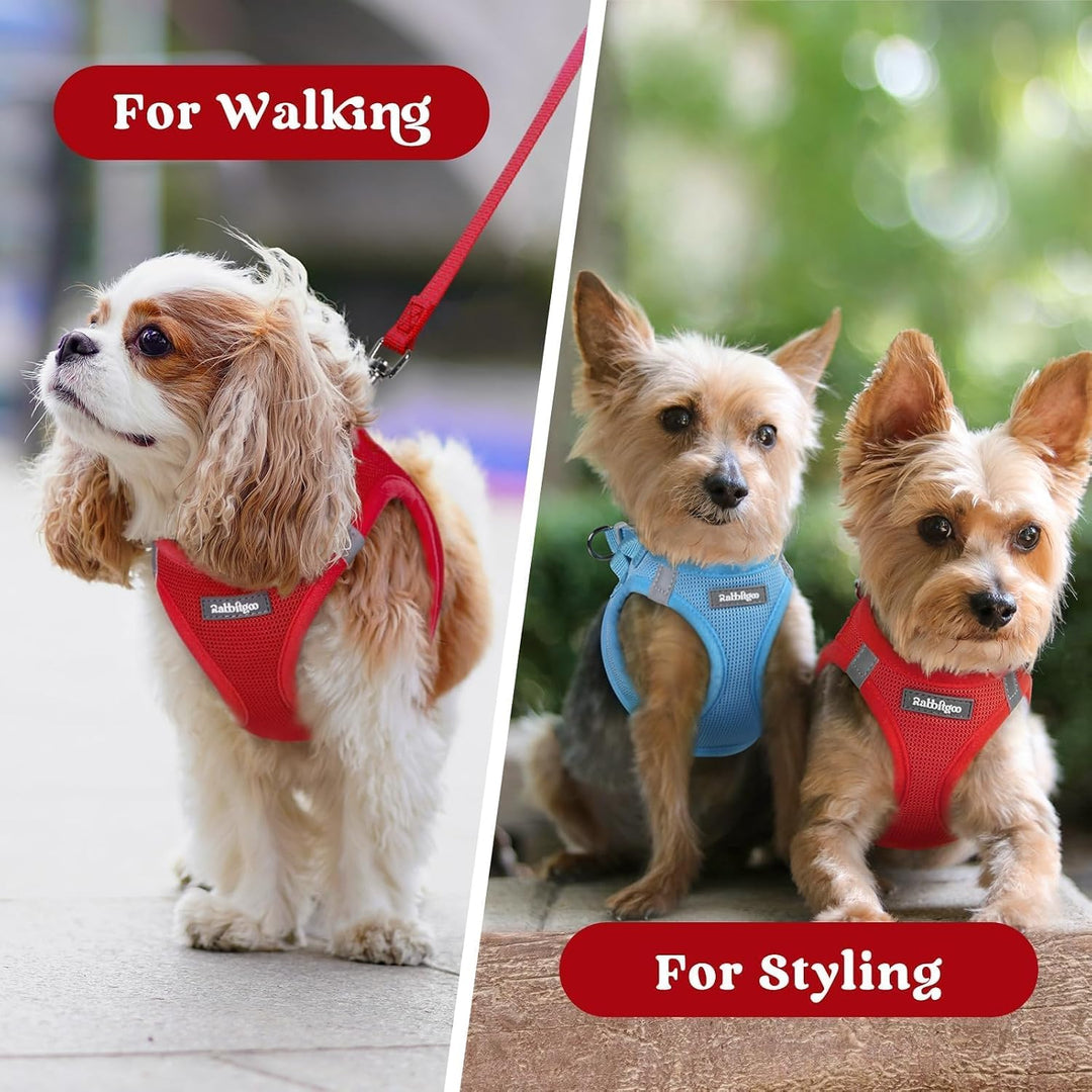 rabbitgoo Hundegeschirr Kleine Hunde, Step-in Weiches Mesh, Rot | Einfach anzulegen, Atmungsaktiv &amp;