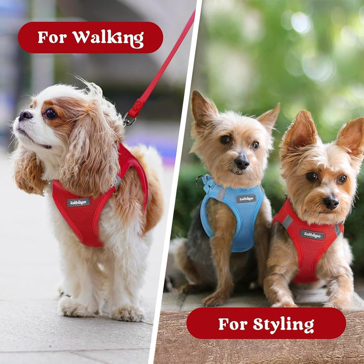 rabbitgoo Hundegeschirr Kleine Hunde, Step-in Weiches Mesh, Rot | Einfach anzulegen, Atmungsaktiv &amp;