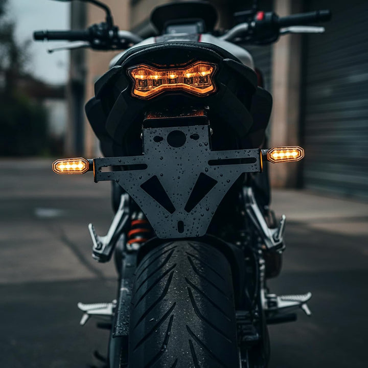 Baceyong Motorrad-Kennzeichenhalter, multifunktionale Motorrad-Halterung Universal-Motorrad-Heck ord