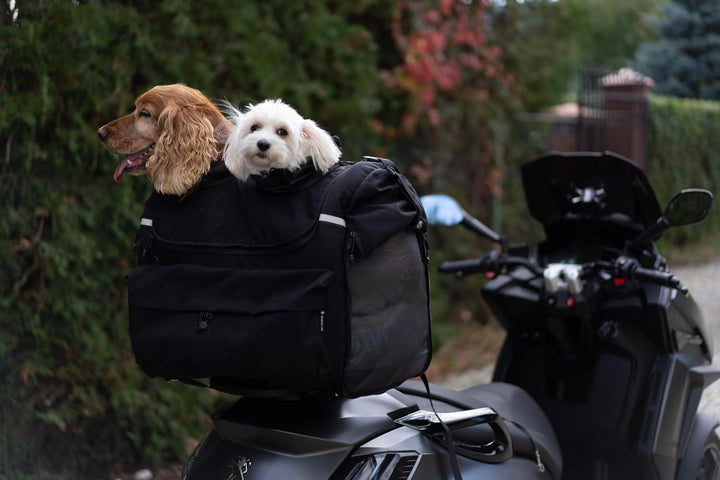 Pet Bag Motorrad Tasche für Hunde (2-36 kg), wasserdicht, tragbar, dreifach belüftet, Gepäckablage o