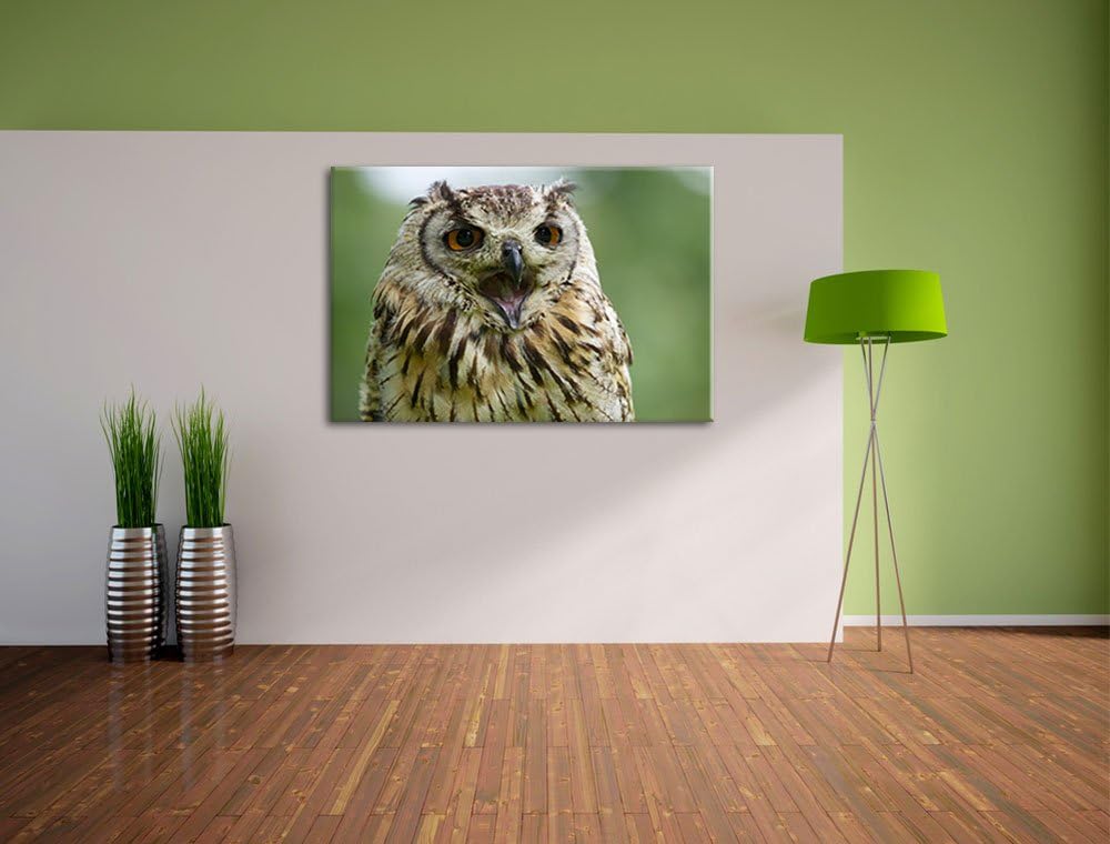 grosse Waldeule gähnt Leinwand, XXL riesige Bilder fertig gerahmt mit Keilrahmen, Kunstdruck auf Wan