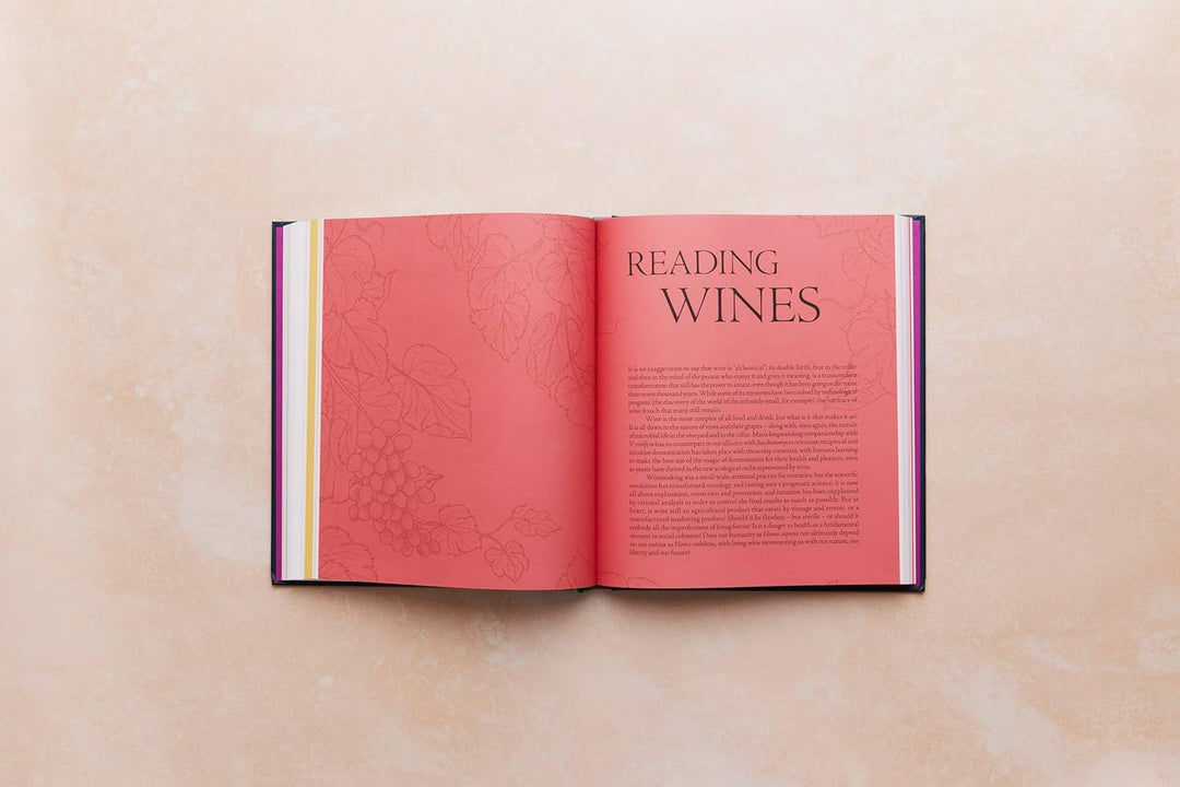 One Thousand Vines: A New Way to Understand Wine, Gebundenes Buch