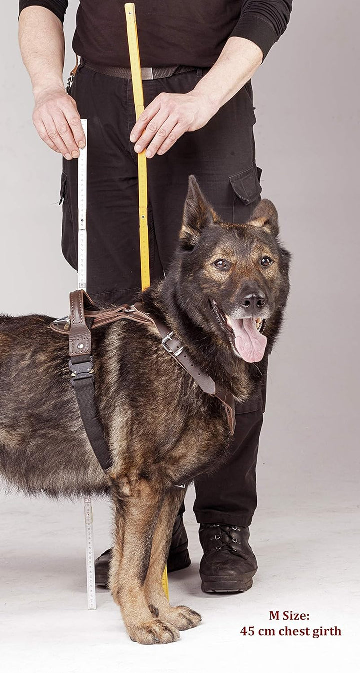 DINGO GEAR Hundegeschirr mit Kobra-Schnalle, Grösse XL bronze XL, bronze XL