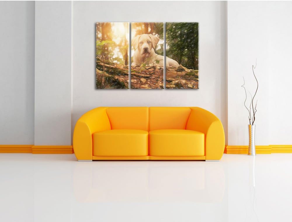 Pixxprint Hund im Wald bei Sonneuntergang / 3-Teilig/Gesamtmass 120cm Leinwandbild bespannt auf Holz