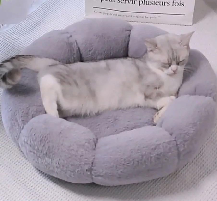 Hundebett Katzenbett 50 cm Waschbar flauschig orthopädische Hundebetten grosse und kleine Hunde Katz