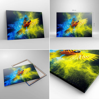 Bilder auf Leinwand 100x70cm Leinwandbild mit Rahmen Papagei Vogel Feder Gross Wanddeko Bild Schlafz