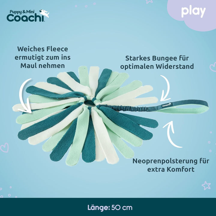 Coachi Puppy & Mini Tuggi Spider - Ideal für Zerr- und Apportierspiele, Hundespielzeug Bungee-Griff.