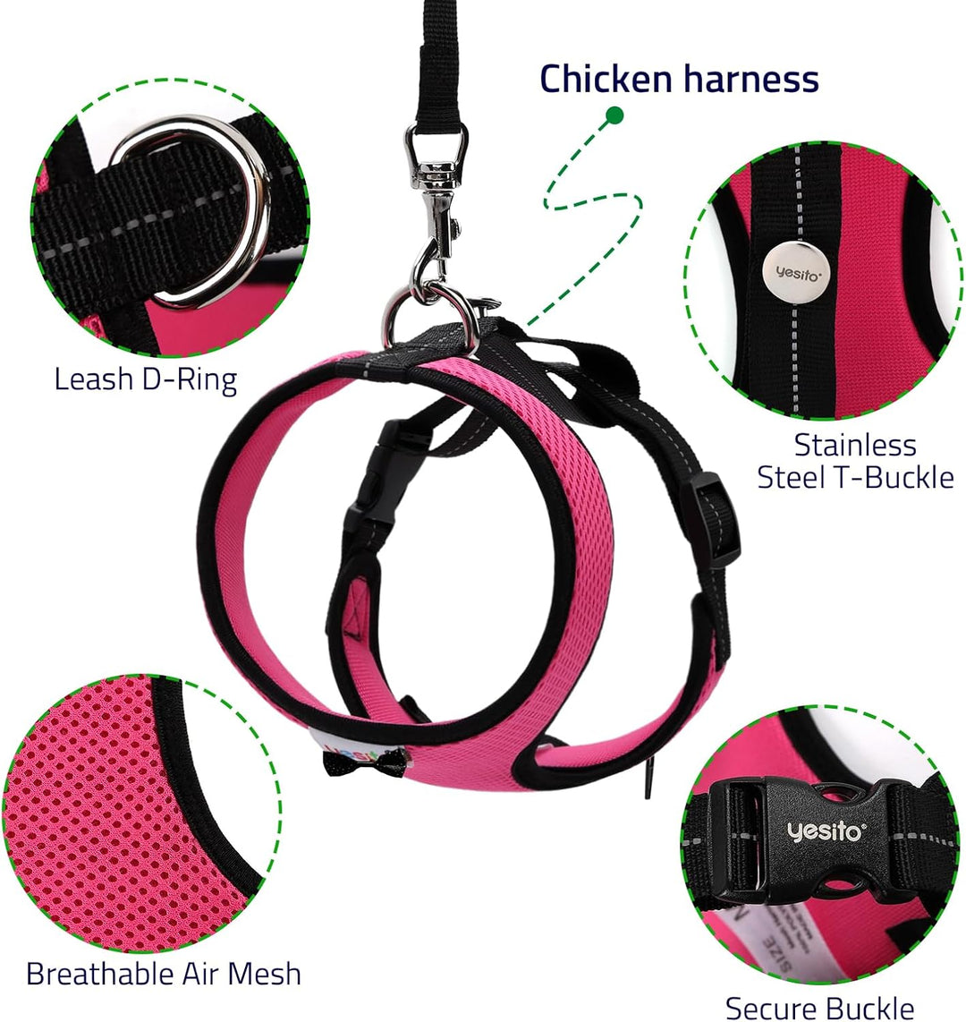 Hühner-Geschirr mit passendem Gürtel, 1,8 m, bequem, atmungsaktiv, kleine Grösse, geeignet für Huhn,