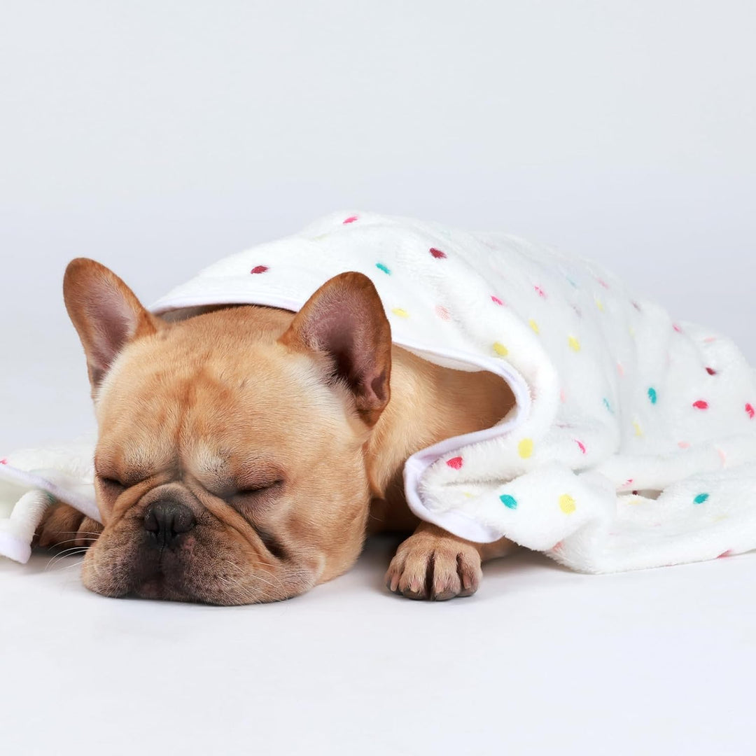 Flanell-Haustierdecke, superweich, niedliches Punktemotiv, Überwurf für Hund, Welpen, Katze, Beige/B