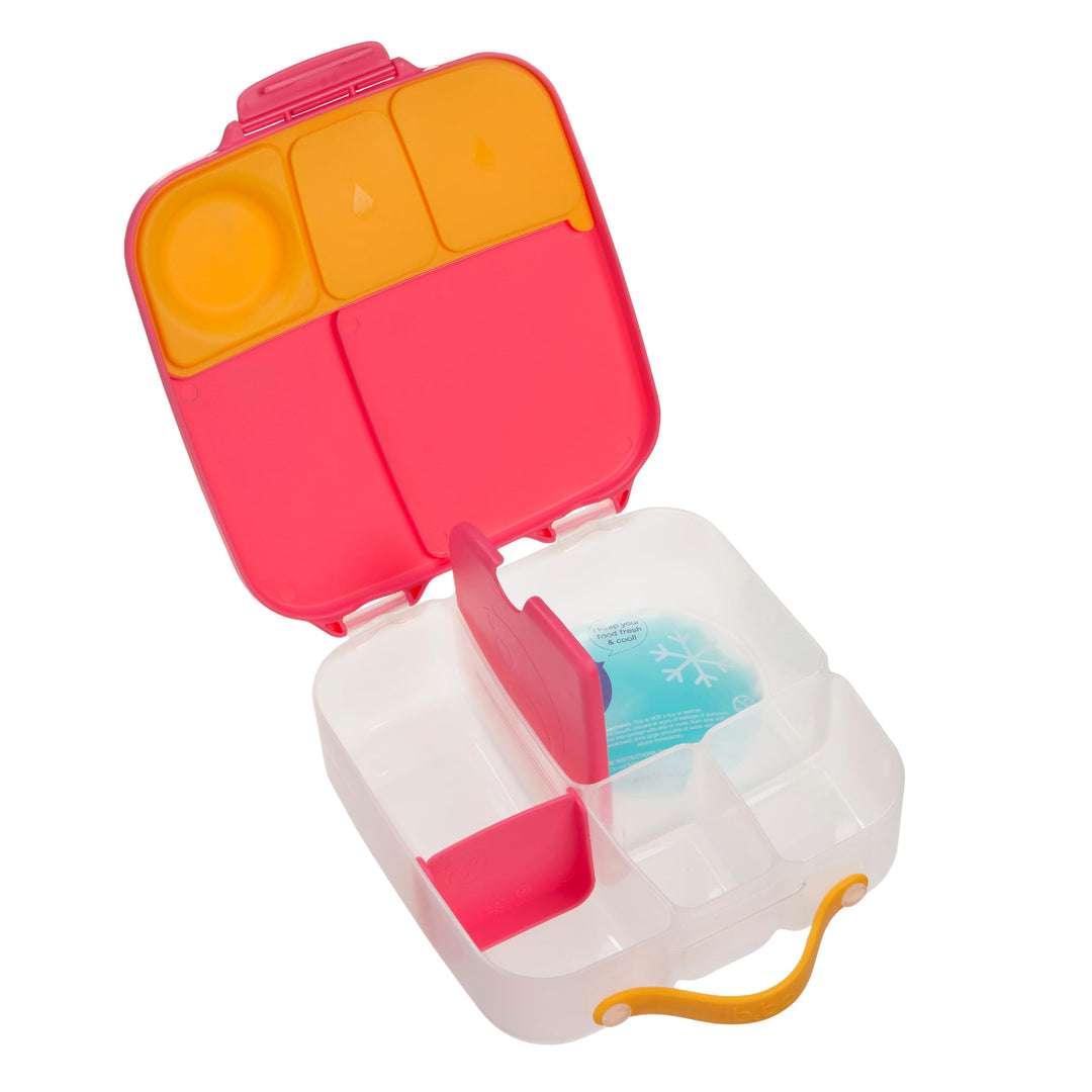 b.box Brotdose Kinder mit Fächern | Jumbo Bento Box mit 4 Fächern (2 Auslaufsicher), Herausnehmbarer