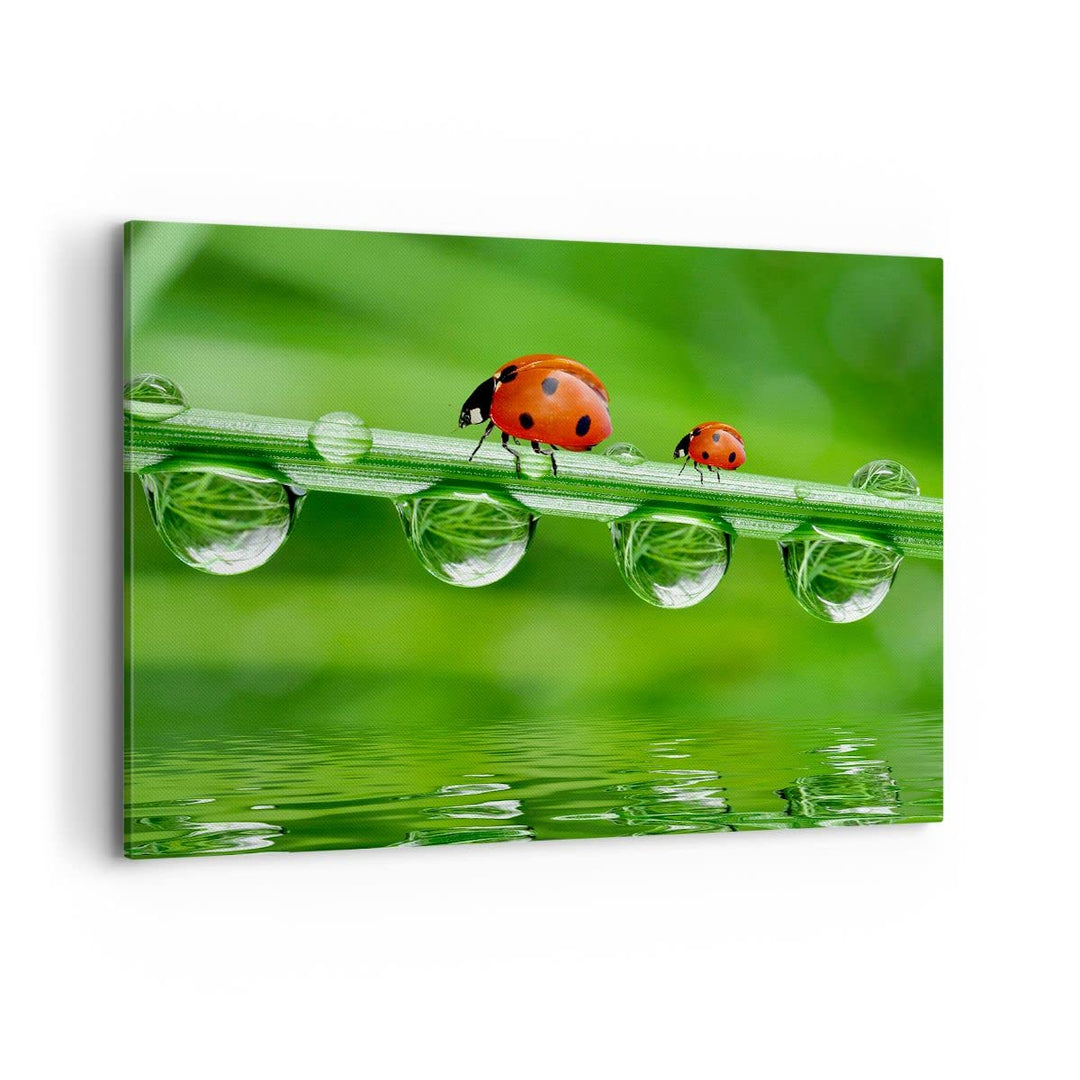 Bilder auf Leinwand 100x70cm Leinwandbild Marienkäfer Wasser Grün Umwelt Gross Wanddeko Bild Schlafz