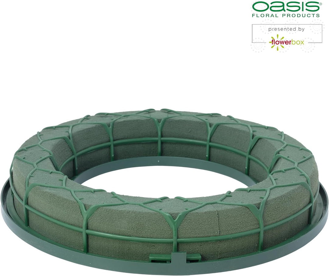Flowerbox Oasis Steckschaum IDEAL Universal Ring Ø27cm Steckmasse Steckschwamm - 3 Stück