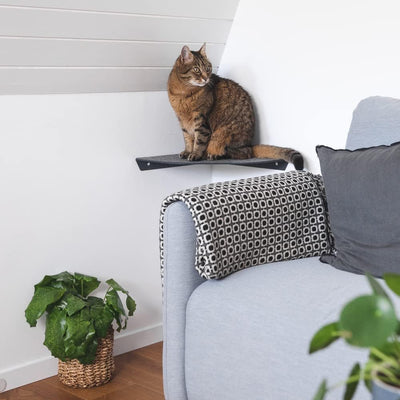 LucyBalu® CORNER Katzenliege & Kletterstufe mit Filzauflage für Wandecken | Wandliege für Katzen | K
