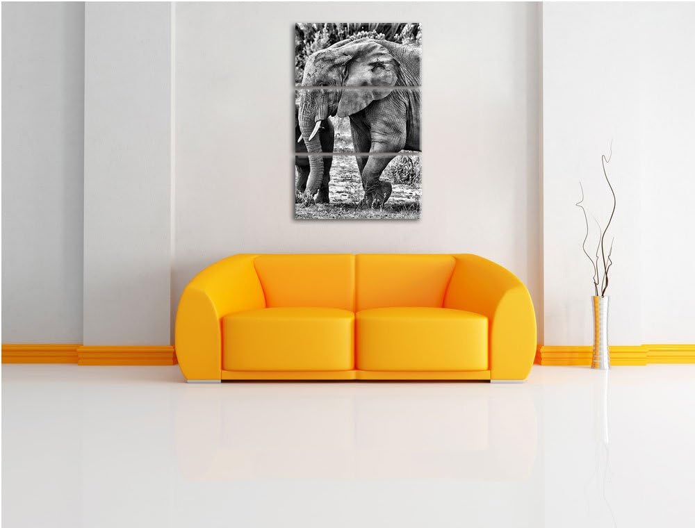 Pixxprint Elefantenkuh mit Jungtier als Leinwandbild/Grösse: 3 Teilig (120x80) cm/Wandbild/Kunstdruc