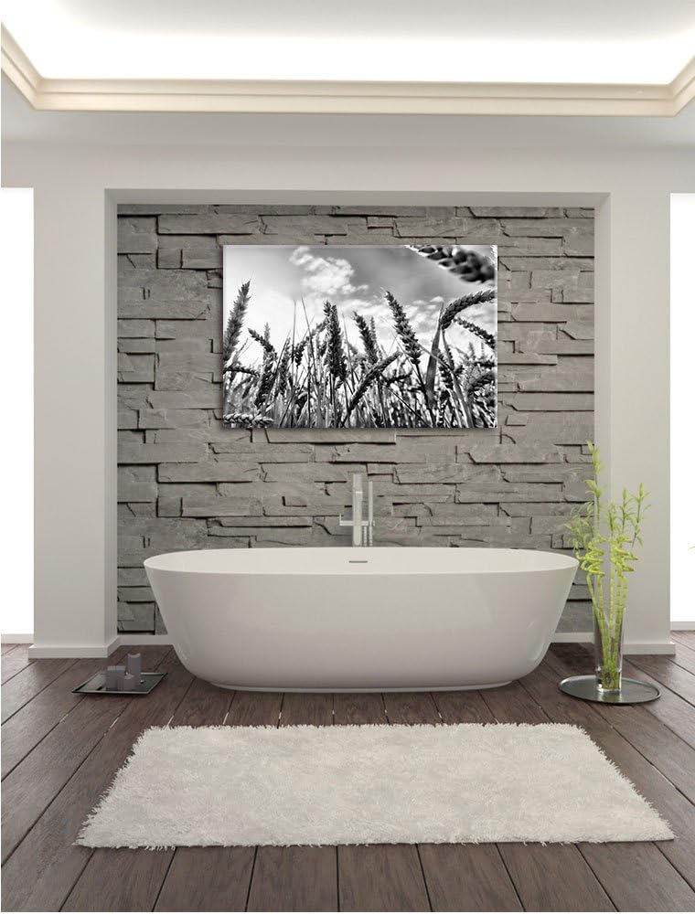 Pixxprint Getreide im Sonnenschein / 100x70cm Leinwandbild bespannt auf Holzrahmen/Wandbild Kunstdru