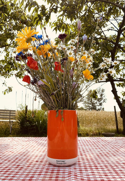 Pantone Porzellan Vase mit Geschenkbox, Jar, dekorative hochwertige Blumenvase, 1 Liter, Orange 021