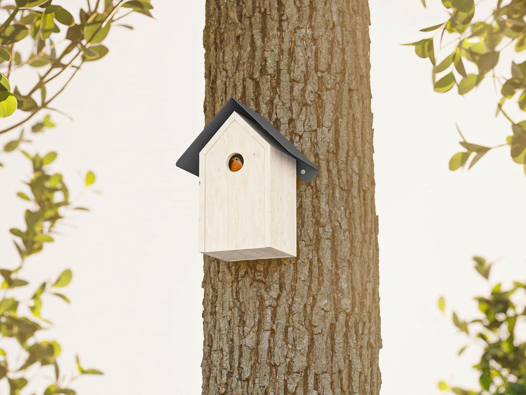 Alberts 355234 Vogelhäuschen Schutzspitzdach | Vogelfutterhaus aus Stahl in verschiedenen Trendfarbe