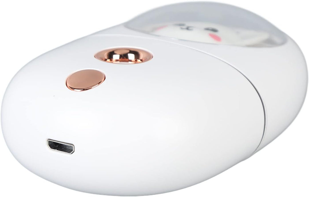Haofy Gesichtsnebelsprüher, über USB Wiederaufladbar, Praktischer Niedlicher Tier-Gesichtsnebel-Luft