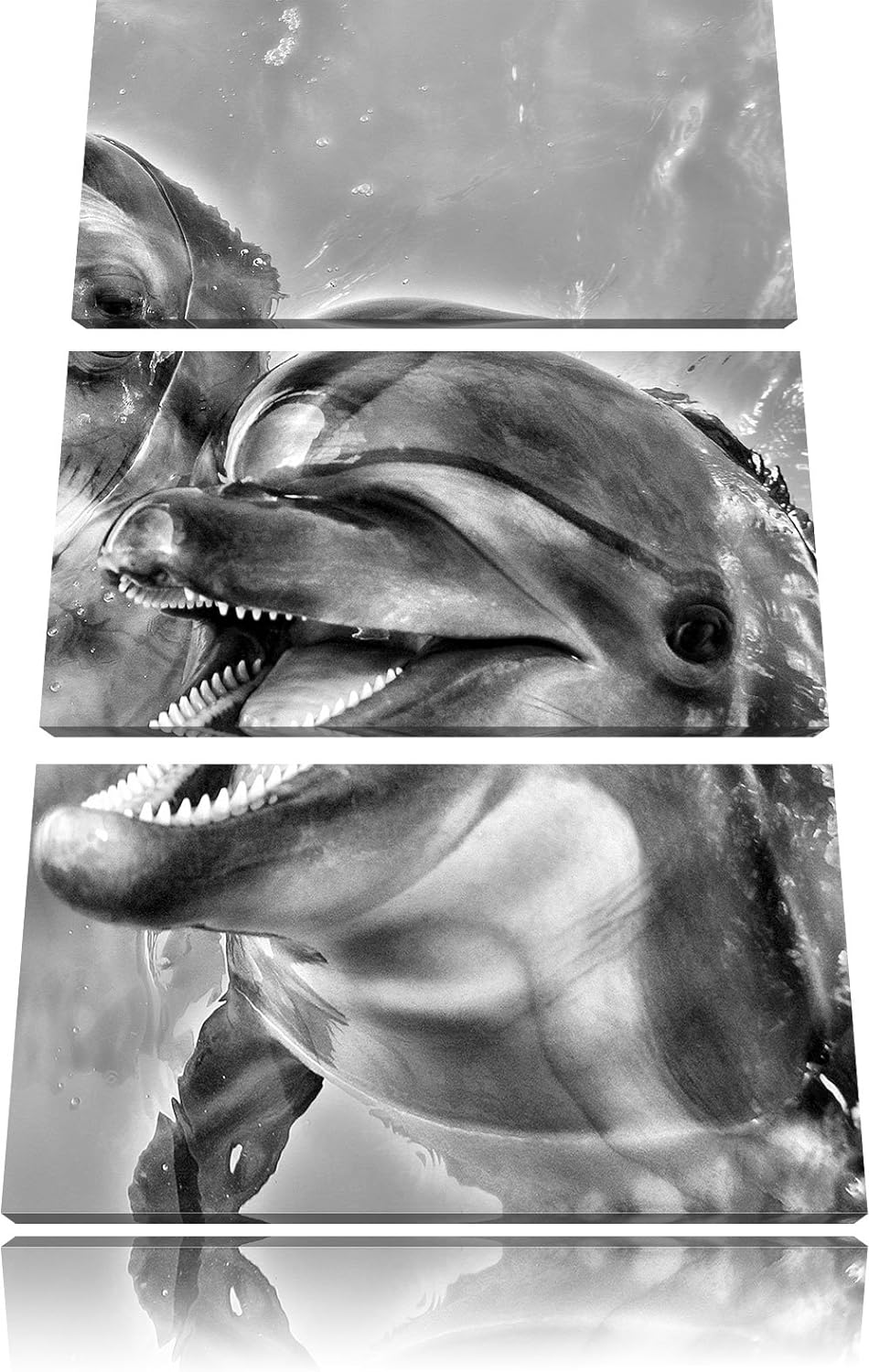 Pixxprint Delfin Paar im Wasser als Leinwandbild/Grösse: 3 Teilig (120x80) / Wandbild/Kunstdruck/fer