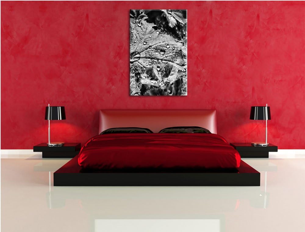 Pixxprint Monocrome, Wassertropfen auf Blatt, Format: 100x70 auf Leinwand, 100x70
