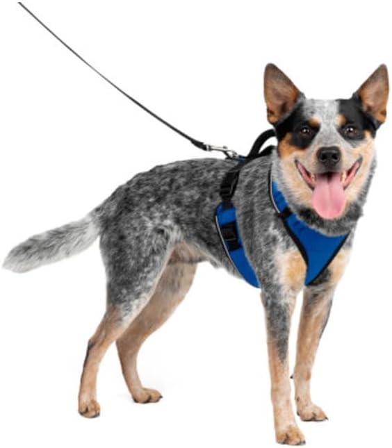 PetSafe EasySport Geschirr, Elastischer Halsausschnitt, Gepolsterter Griff, Für Hunde von 11,3 kg bi