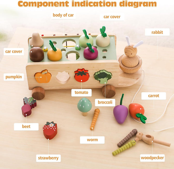 WOODEN TEETHER Montessori Holzspielzeug ab 1 2 3 Jahr, Steckspiel Sortierspiel Holzpuzzle Karottener