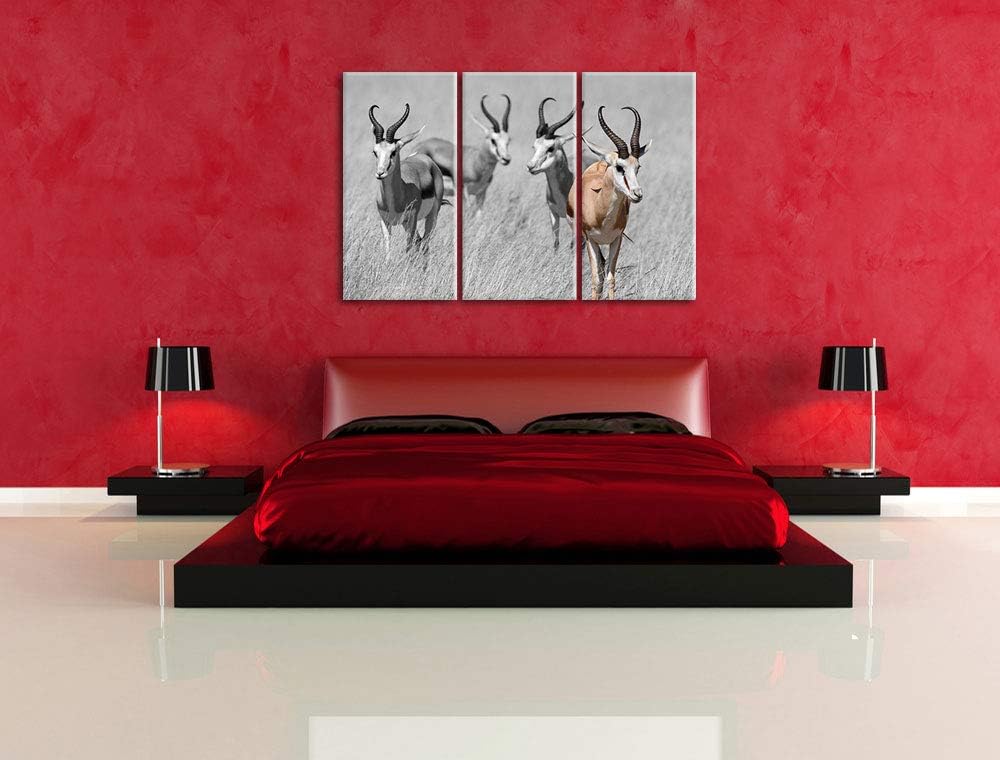 Tiere in Savanne, Rehe, Afrika schwarz/weiss 3-Teiler Leinwandbild 120x80 Bild auf Leinwand, XXL rie