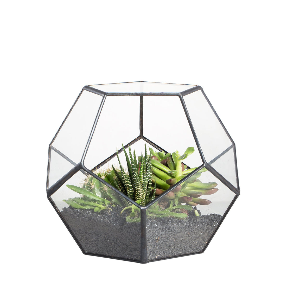 NCYP Handmade Blumentopf Transparentes fünfeckiges Dodekaeder Glas, Terrarium, auch für Sukkulenten,