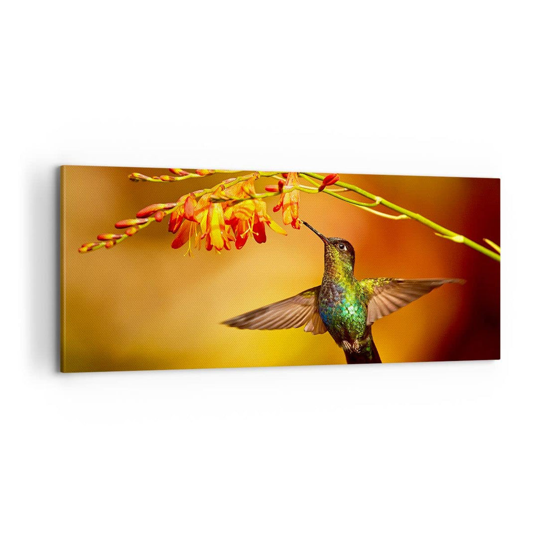 Panorama Bilder auf Leinwand 100x40cm Leinwandbild Kolibri Vogel Sommer Gross Wanddeko Bild Schlafzi
