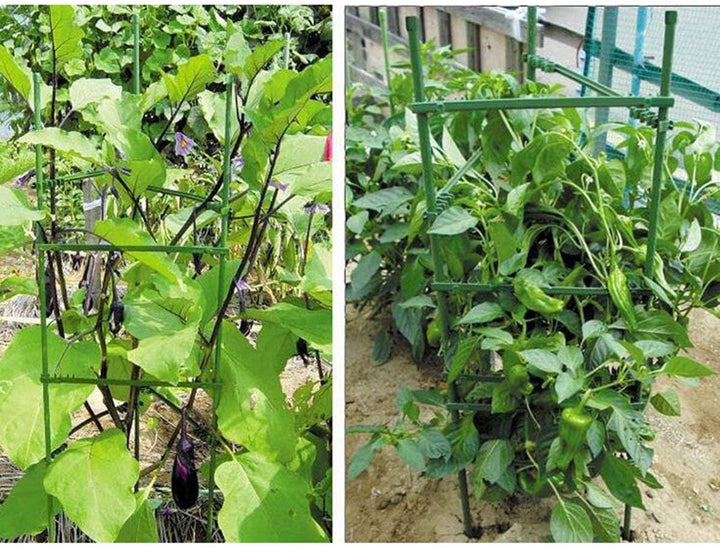 12 Stück Tomaten Spalier Verbinder, Pflanzenstütze Rankstab Stange Stab Tomatenstäbe Verbinder Pflan