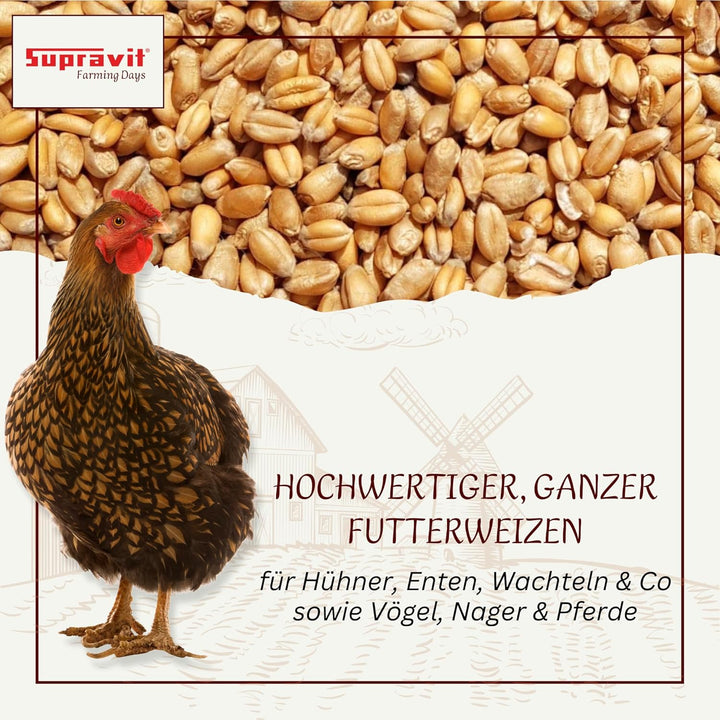 SUPRAVIT Weizen Futterweizen - 25kg aus regionaler Landwirtschaft - Ideales Einzelfuttermittel für T