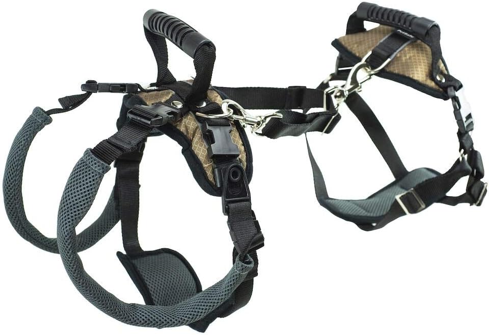 PetSafe CareLift Stützgeschirr – Ganzkörper-Hebehilfe mit Griff und Schultergurt – ideal für Haustie