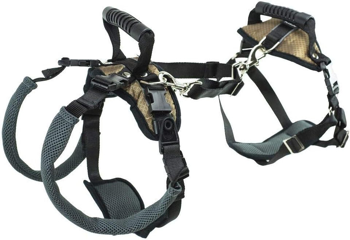 PetSafe CareLift Stützgeschirr – Ganzkörper-Hebehilfe mit Griff und Schultergurt – ideal für Haustie