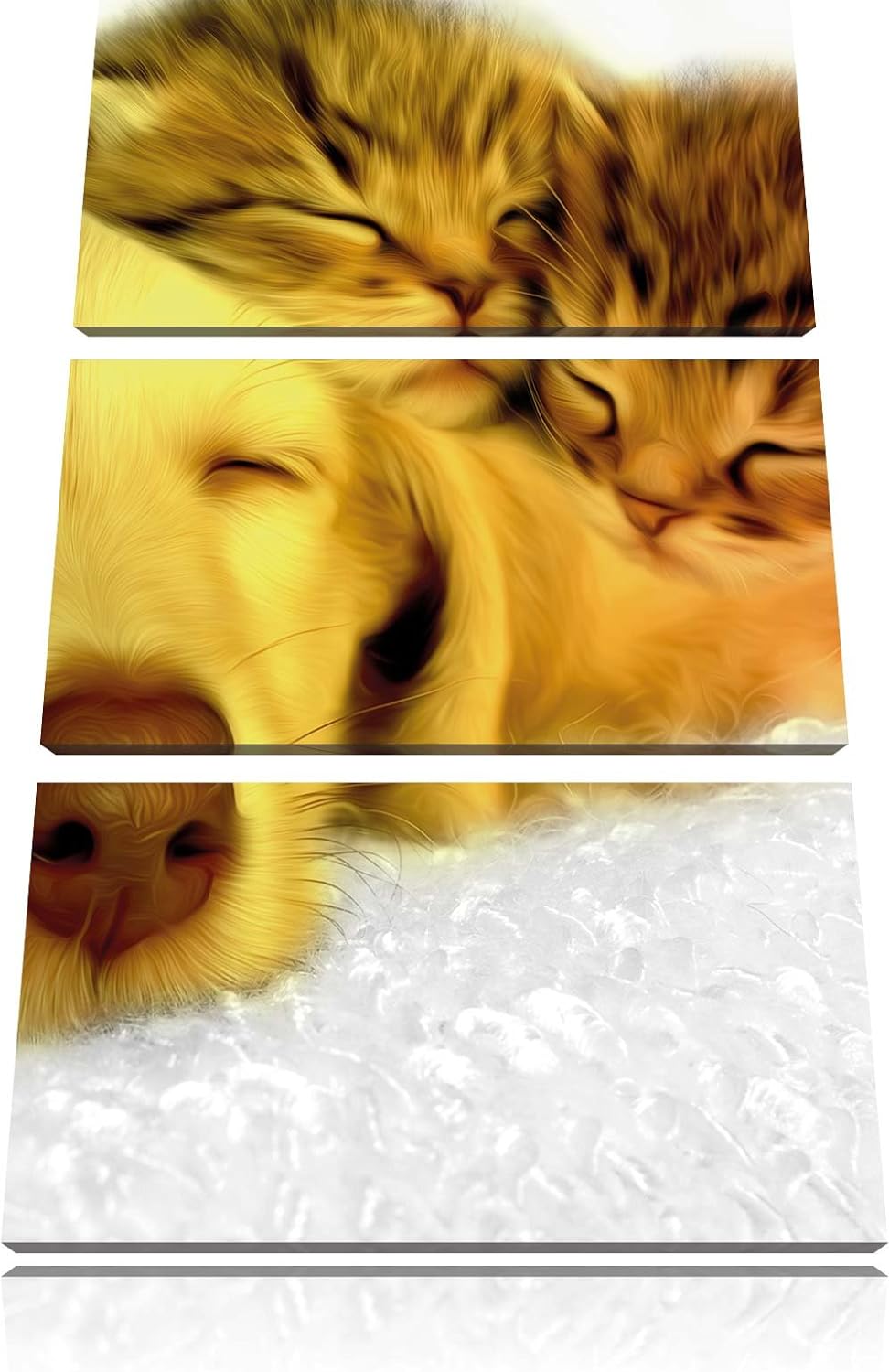 Pixxprint Welpe kuschelt mit süssen Kätzchen als Leinwandbild/Grösse: 3 Teilig (120x80) cm/Wandbild/