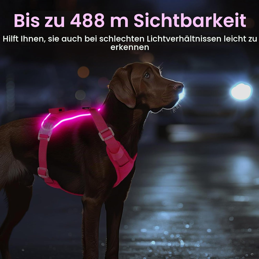 Light Up Dog Hundegeschirr Leuchtend LED Aufladbar - Leuchtgeschirr Leuchtend für Klein Mittelgrosse