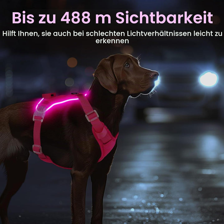 Light Up Dog Hundegeschirr Leuchtend LED Aufladbar - Leuchtgeschirr Leuchtend für Klein Mittelgrosse