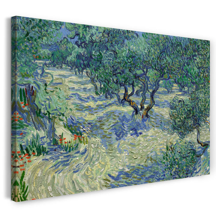 Printed Paintings Leinwand (120x80cm): Vincent Van Gogh - Oliven-Feld 120x80 cm, 120x80 cm