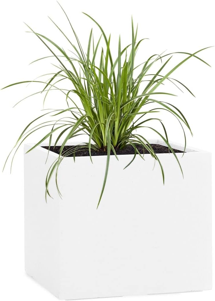 Pflanzwerk® Pflanzkübel Fiberglas Weiss Cube 30x34x34cm *Frostbeständige Blumenkübel* *Deutsche Prem