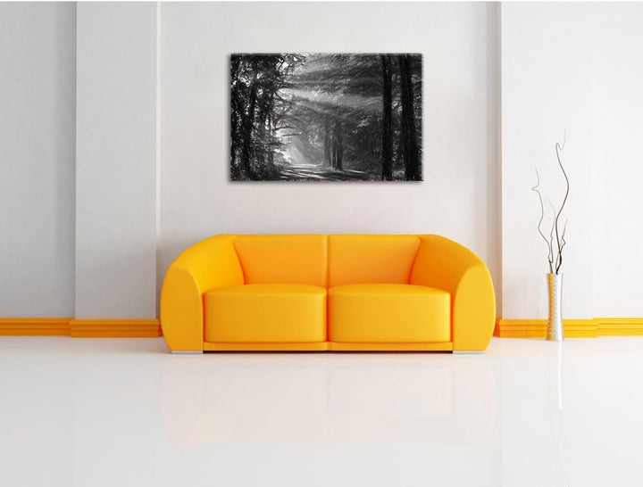 Pixxprint Waldweg im Frühling als Leinwandbild/Grösse: 100x70 cm/Wandbild/Kunstdruck/fertig bespannt