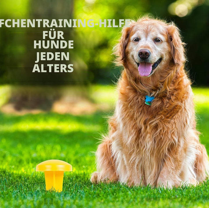 Simple Solution Pee Post | Outdoor-Hundetrainingshilfe | Pheromon infundierter Hunde-Pinkelständer E