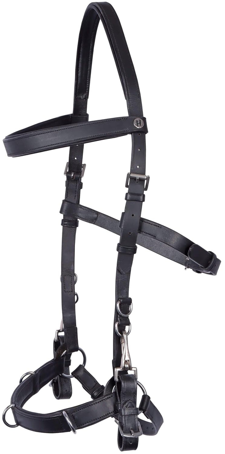 Harry's Horse Kaptoom hoofdstel Leder, Grösse:Full, Full