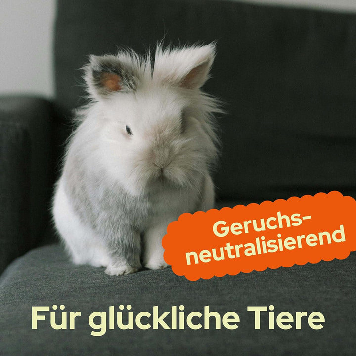 Kleintierstreu Bio 40 L – Staubarme, hochsaugfähige Einstreu im Karton – Für Kaninchen & Nager