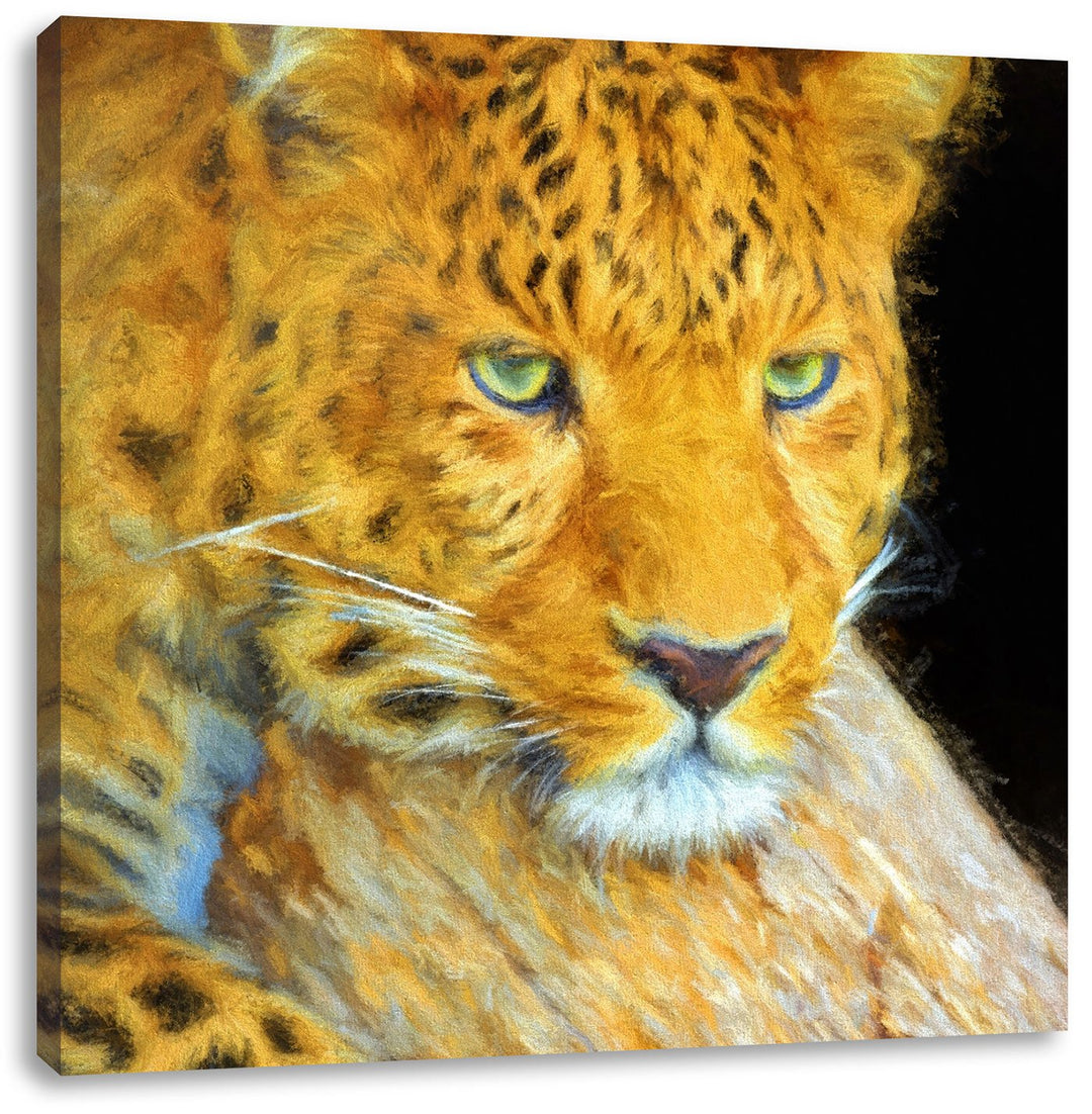 ruhender Leopard, Format: 70x70 auf Leinwand, XXL riesige Bilder fertig gerahmt mit Keilrahmen, Kuns