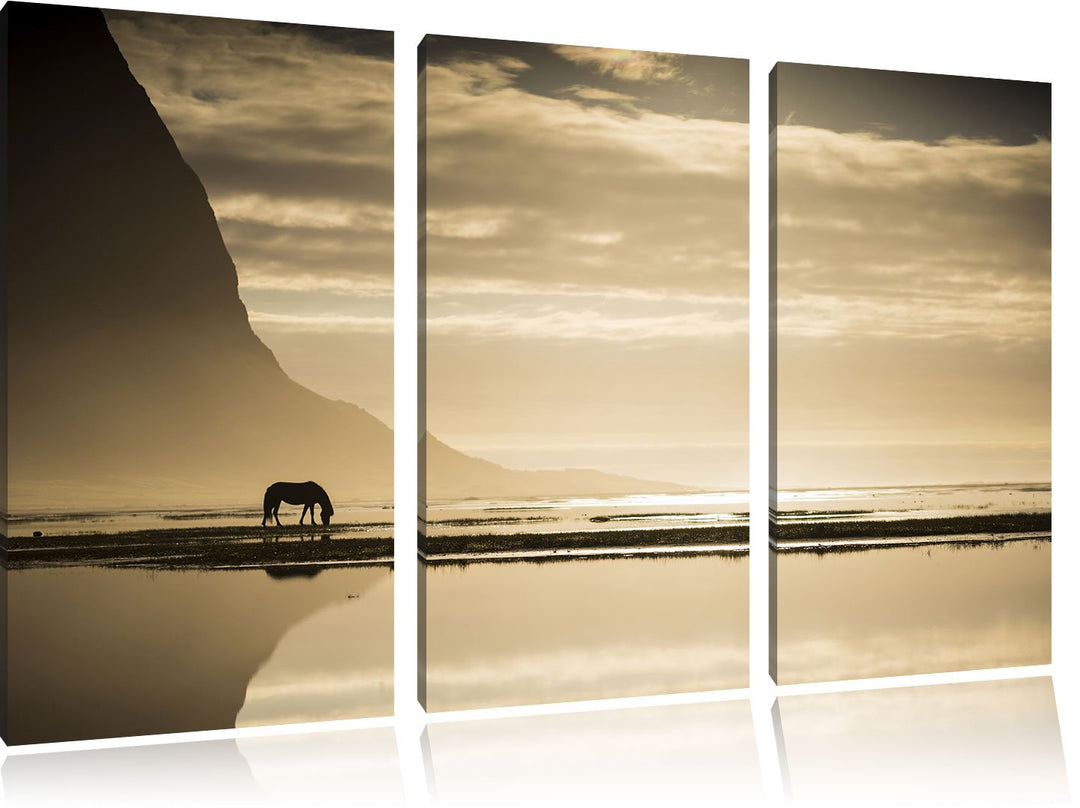 Pixxprint Pferd am Ufer Einer Insel / 3-Teilig/Gesamtmass 120cm Leinwandbild bespannt auf Holzrahmen